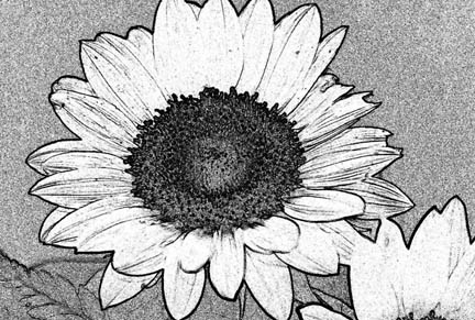 FloralSchool.com: KidsColoringpages